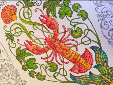 lost ocean  inky adventure  coloring book  adults