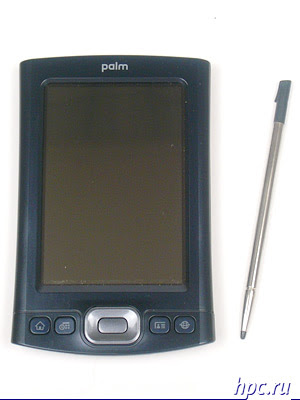 Palm T | X: rare bird