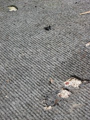 Carpet