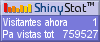Medidor de visitantes