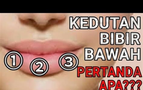 Kenapa Bibir Bawah Kiri Anda Bergerak? Ketahui Penyebab dan Solusinya!
