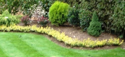 Lawn Edging on Lawn Ranger Lawn Care Service Lancaster Pa