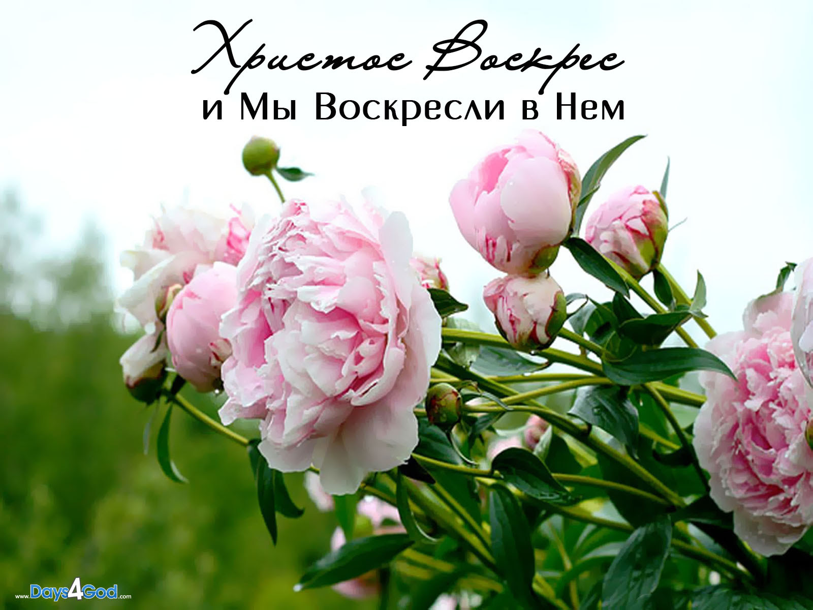 Wallpapers - Христианские обои, картинки, фотографии - Дни 