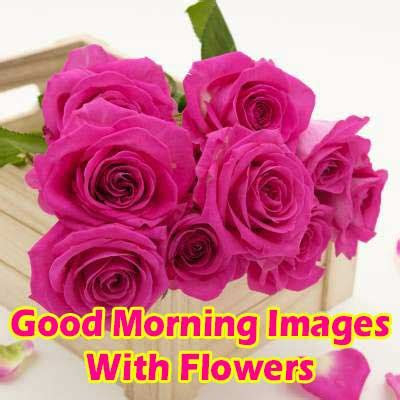 good morning images  flowers good morning wishes
