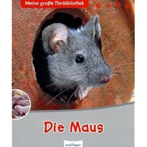 Die Maus