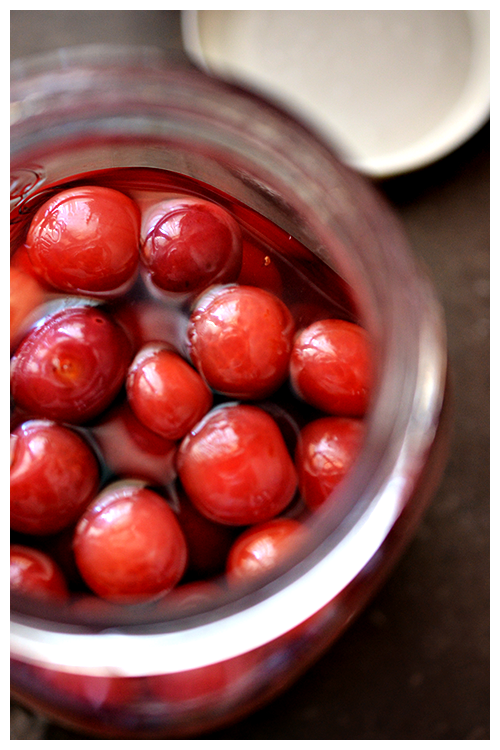 Grappa Poached Cherries© by Haalo