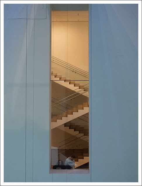 MoMA 2013-12-28 2