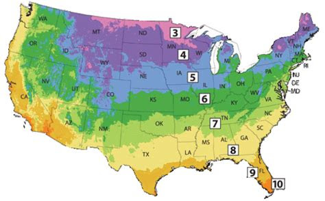 planting zones  seasonal gardening guide gardens nursery