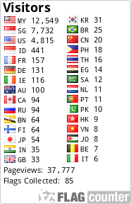 Flag Counter