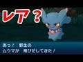 最高のコレクション サン��ーン 強いポケモン 野生 972434-サンムーン 強いポケモン 野生