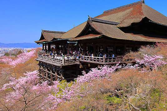 清水寺 桜