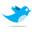 Twitter Bird