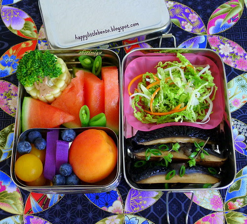 Portobello Ecolunchbox Bento by sherimiya ♥