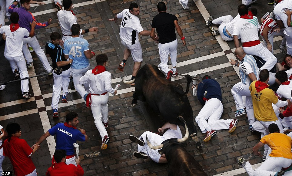 Man down: A reveller attempts to shield his head as two bulls trample him following a fall, while other runners dash to avoid the animals' horns
