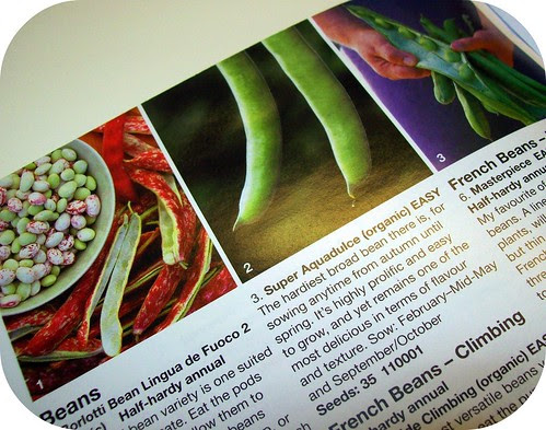 seed catalogue