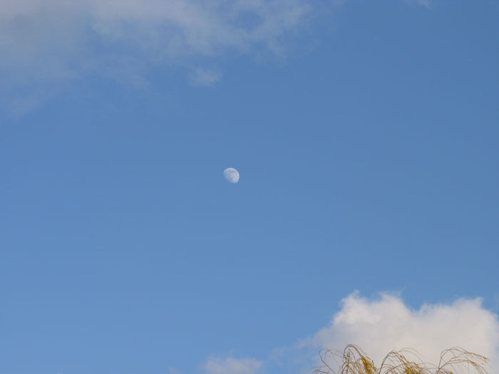 青い空と白い雲と昼間の月の写真素材フリー 高画質