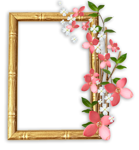 الإطارات Png اطارات ذهبية للتصميم / اطارات ذهبية - صباح الخير - اطارات ذهبيه png الصور ناقل و psd الملفات تحميل مجاني على pngtree.