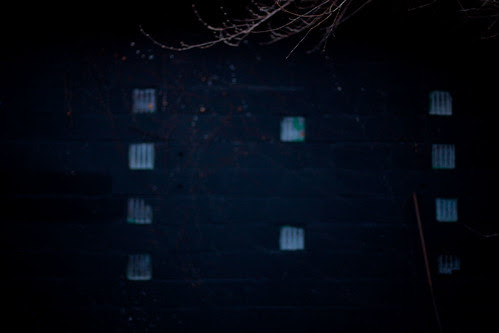 backyardblue