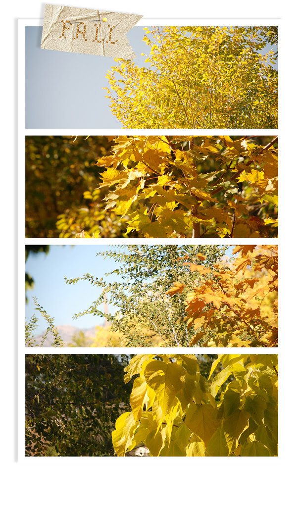 fall