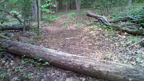 Poco Red Trail May 2011