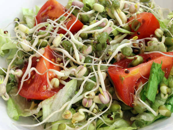 sprouted salad a low calorie breakfast recipe 