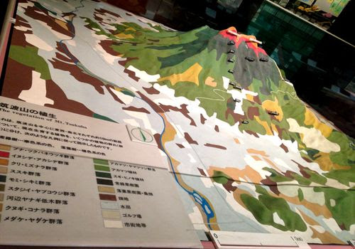 簡単 自由研究 6年生 夏休み自由研究 １日でできる 専門サイト教えます