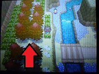 隠し穴隠し穴の場所と出現ポケモン ポケモンbw2攻略ga Mo