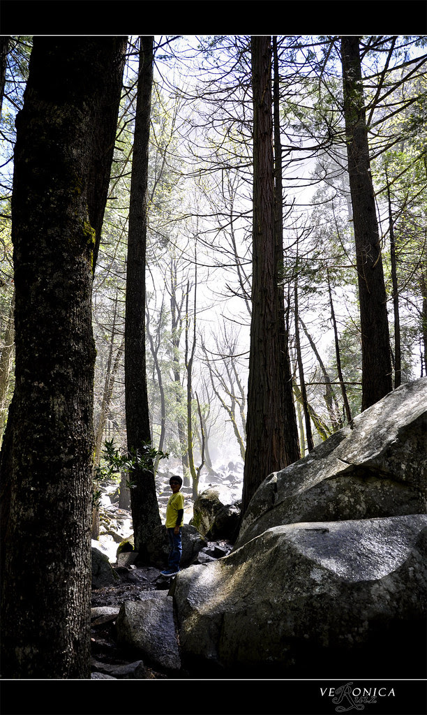 Day 1 -- Yosemite -- Mist from Brideveil Falls