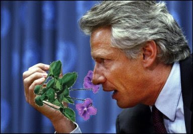 Screw off Dominique!