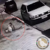 "Mulher com bebê cai em fossa: Câmeras de segurança captam momento dramático"