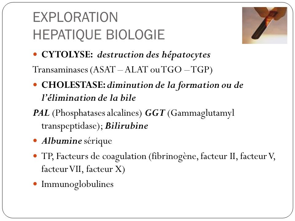 Taux lev de transaminase SGPT - Sant-Mdecine