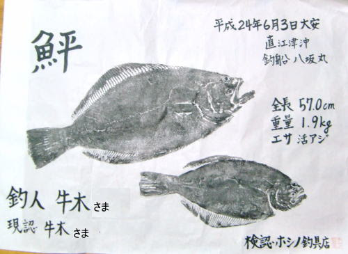 魚拓 エサ時々ルアー ホシノ釣具店ブログ
