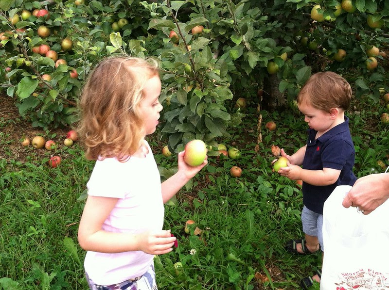 Apples and pumpkins