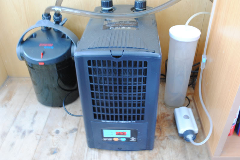 ゼンスイzc 100とエーハイム2232 はなちゃんの小さな海