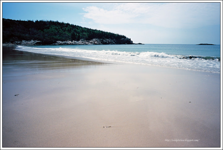 Film_135_090519_EKTAR__33
