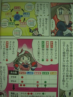 ポケットモンスター ルビー サファイア公式 まんがで読む４つ星攻略ｂｏｏｋ 懐古ゲーマーの古本漁り