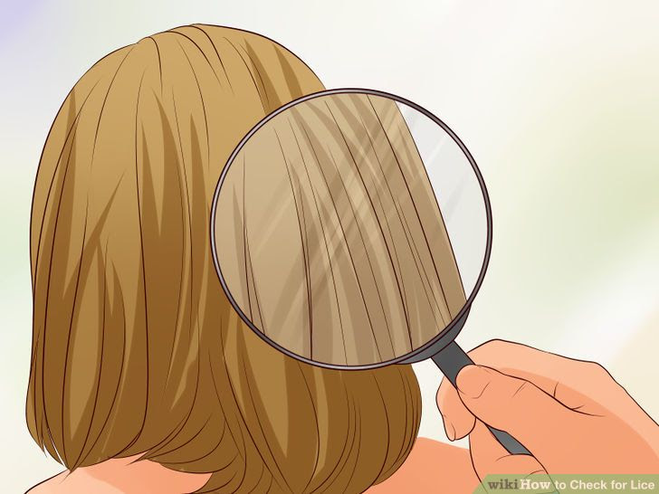 Check for Lice Step 13 Version 2.jpg