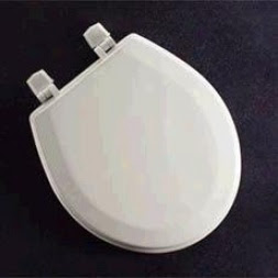 American Standard Toilets Seats