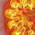Are The Kidneys Located Inside Of The Rib Cage - Love Yourself Fearlessly!: 12 Ways To Get More Miles On ... : That it is a capillary bed that has an arteriole entering and an arteriole leaving.