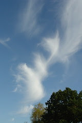 Wonderful sky #1