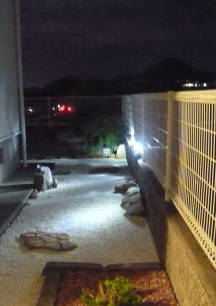 ボンビー生活なくせに一軒家を買いました 岩と飛び石980円を置いて和風庭園ｄｉｙ 狭い庭に花を飾る