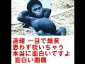 √99以上 おかしな画像 257570-おかしな画像 海外