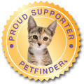 Kitten Adoption