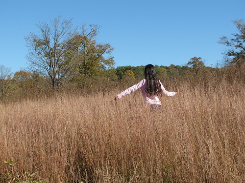 in the fields 2