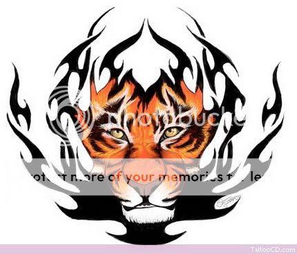 lion-samoan-tattoo.jpg Tiger