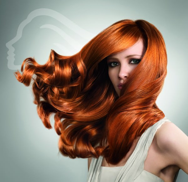 Wella Professional at Amour Hair & Beauty, Salford