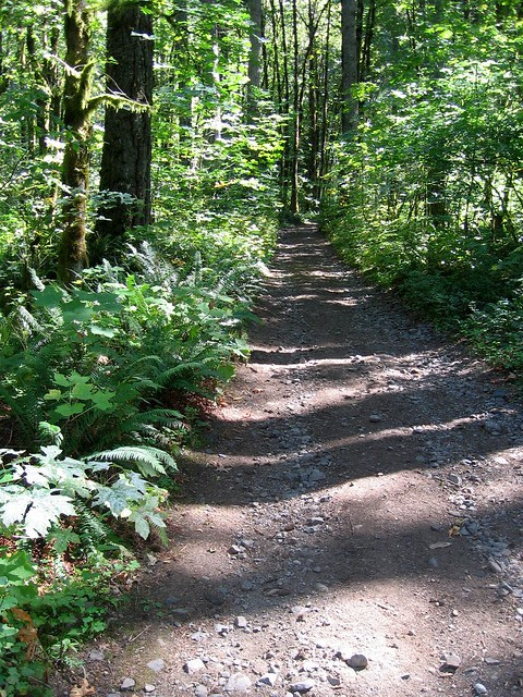 Dry Creek Falls