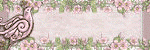 Ladyhawwk designs