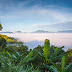 International Day of the Tropics 2021: Theme, History and Significance