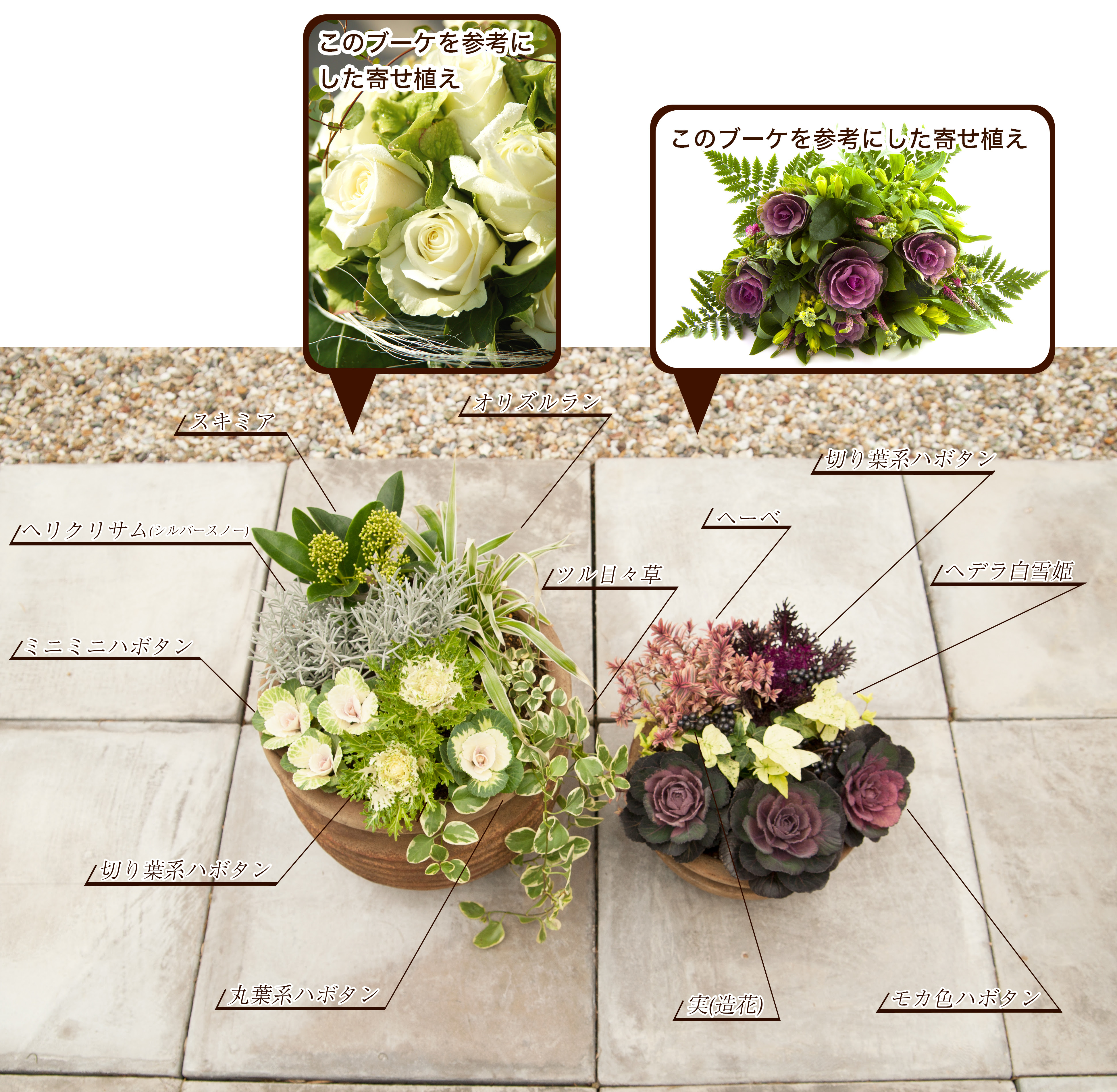 ブーケみたいな寄せ植えを作ろう 華やかに生まれ変わったハボタンの魅力 植木鉢ナビ